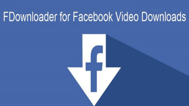 download a facebook video