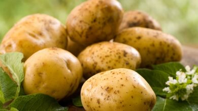 What Health Benefits Are Associated With Consuming Potatoes?
